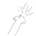 ヤニカス の絵: しゃせい