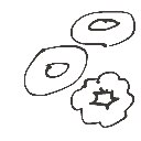 もこ の絵: どーなつ