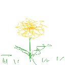 ぴの の絵: たんぽぽ
