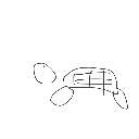 ぴーまん の絵: かめ