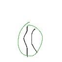 レオナルド・ダ・ヴィンチ の絵: すいか