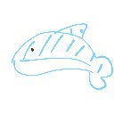 カッパパ の絵: いるか