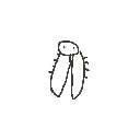 えび の絵: せみ