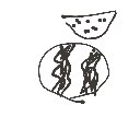 かい の絵: すいか