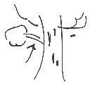こた の絵: みき