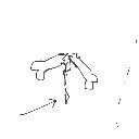 こた の絵: ずいえき
