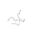 こた の絵: うそ