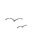 しすく の絵: かもめ