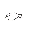 見張る の絵: めだか