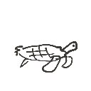 美味し の絵: かめ