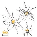 まき の絵: うに