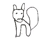 はげ の絵: りす