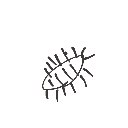 ゆーな の絵: むかで