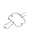 信楽たぬき の絵: にく