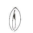 かりこ の絵: すまんこ