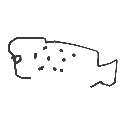 もぐもぐら の絵: ごまあざらし