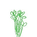 たまね の絵: るっこら