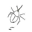 パパ の絵: むし