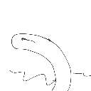 hayato の絵: ちんあなご