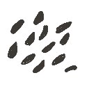 kgmmt の絵: ごま