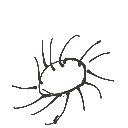 ほりの の絵: うに