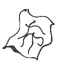 ええやん の絵: ぬの
