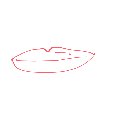 pro の絵: くち