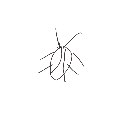 こうくん の絵: ごきぶり