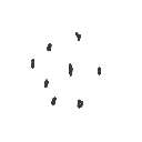 ころね の絵: ごま