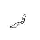 ぽんず の絵: みみず