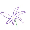 みなみ の絵: ききょう