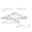 ? の絵: かじきまぐろ