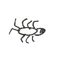 ます の絵: あり