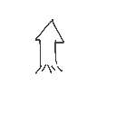 クレリン の絵: いか