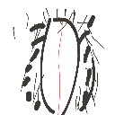 みねかすよしの の絵: まんこ
