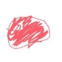 (｡ᵕᴗᵕ｡) の絵: にく