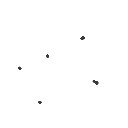 オリヴィエイラ の絵: ごま