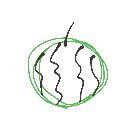 はち の絵: すいか