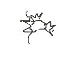 こた の絵: こいきんぐ