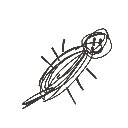 さーびんご の絵: いもり