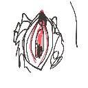 うんこ💩 の絵: まんこ