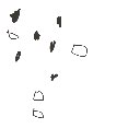森のうさぎ の絵: ごましお