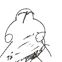 琉球王国 の絵: ごりら