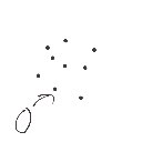 くま の絵: ごま