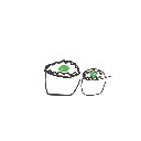 らん の絵: しゅうまい