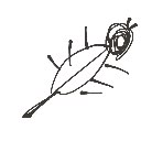 さーびんご の絵: やもり