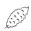 さーびんご の絵: ごうや