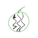 りゅう の絵: すいか
