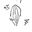 のん の絵: るびー