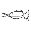 のん の絵: きす